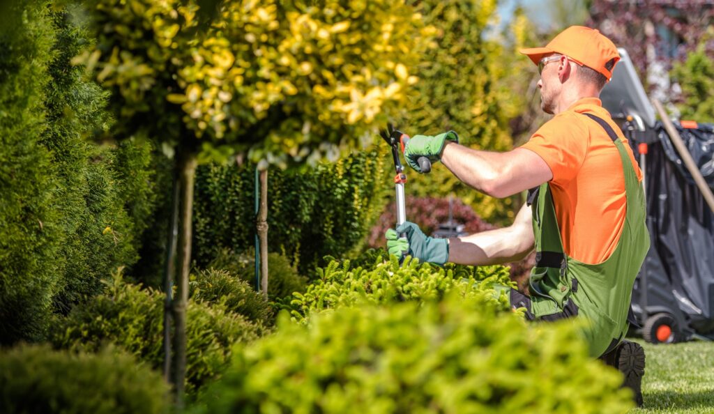 Seasonal Garden Trees Trimming.